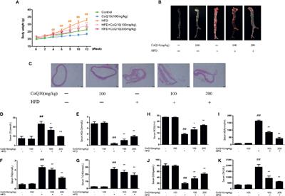 CoenzymeQ10-Induced Activation of AMPK-YAP-OPA1 Pathway Alleviates Atherosclerosis by Improving Mitochondrial Function, Inhibiting Oxidative Stress and Promoting Energy Metabolism